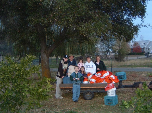 Harvest,Barn,Festivals_017