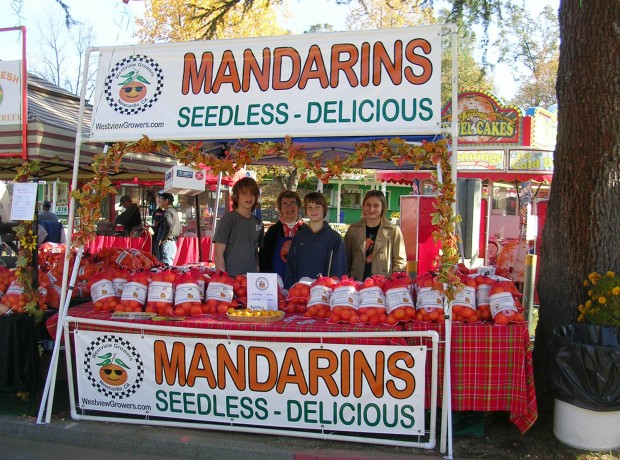 Mandarin_Festival_2008